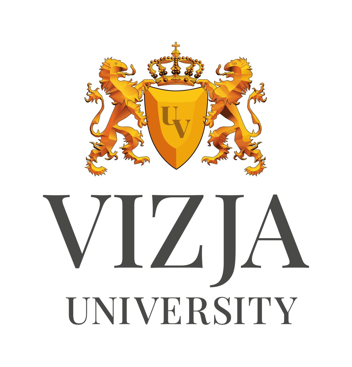 Vizja University